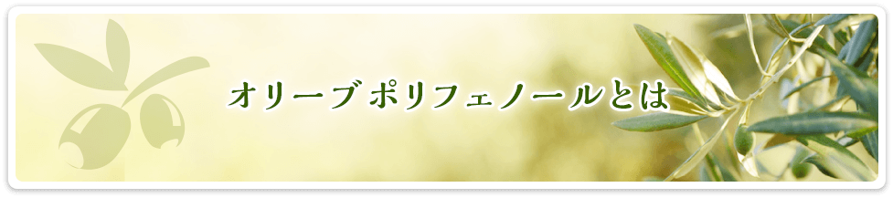 オリーブポリフェノールとは