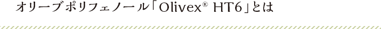 オリーブポリフェノール「Olivex® HT6」とは