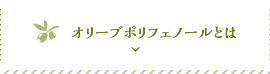 オリーブポリフェノールとは