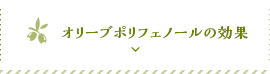 オリーブポリフェノールの効果