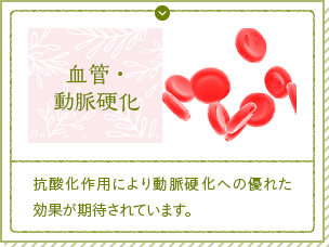 【血管・動脈硬化】抗酸化作用により動脈硬化への優れた効果が期待されています。