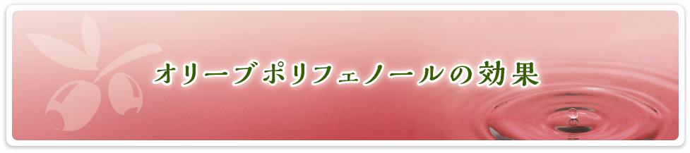 オリーブポリフェノールの効果