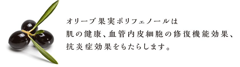 オリーブ果実ポリフェノールは肌の健康、血管内皮細胞の修復機能効果、抗炎症効果をもたらします。