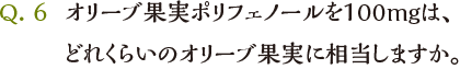 Q6 オリーブ果実ポリフェノールを100mgは、どれくらいのオリーブ果実に相当しますか。