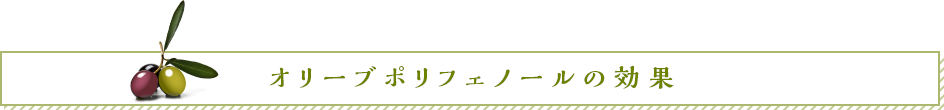 オリーブポリフェノールの効果