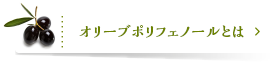 オリーブポリフェノールとは